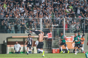 16472210824_1d9060a5d2_z