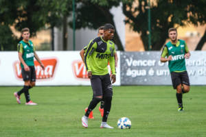 19354854122_961881c78a_z