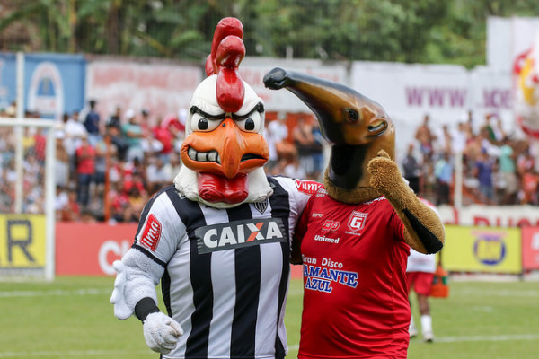 24886534032_454f1e786c_z